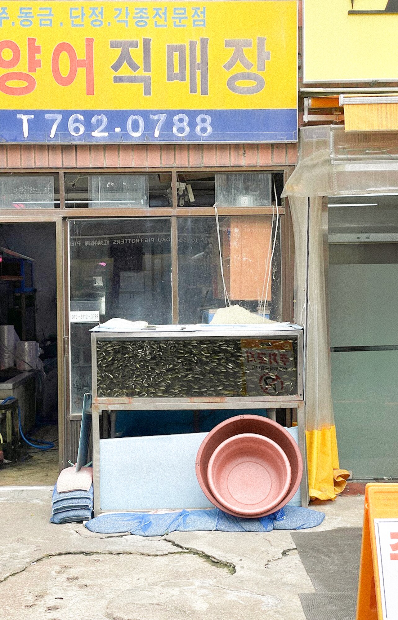 260713_gimjae direct fish sale